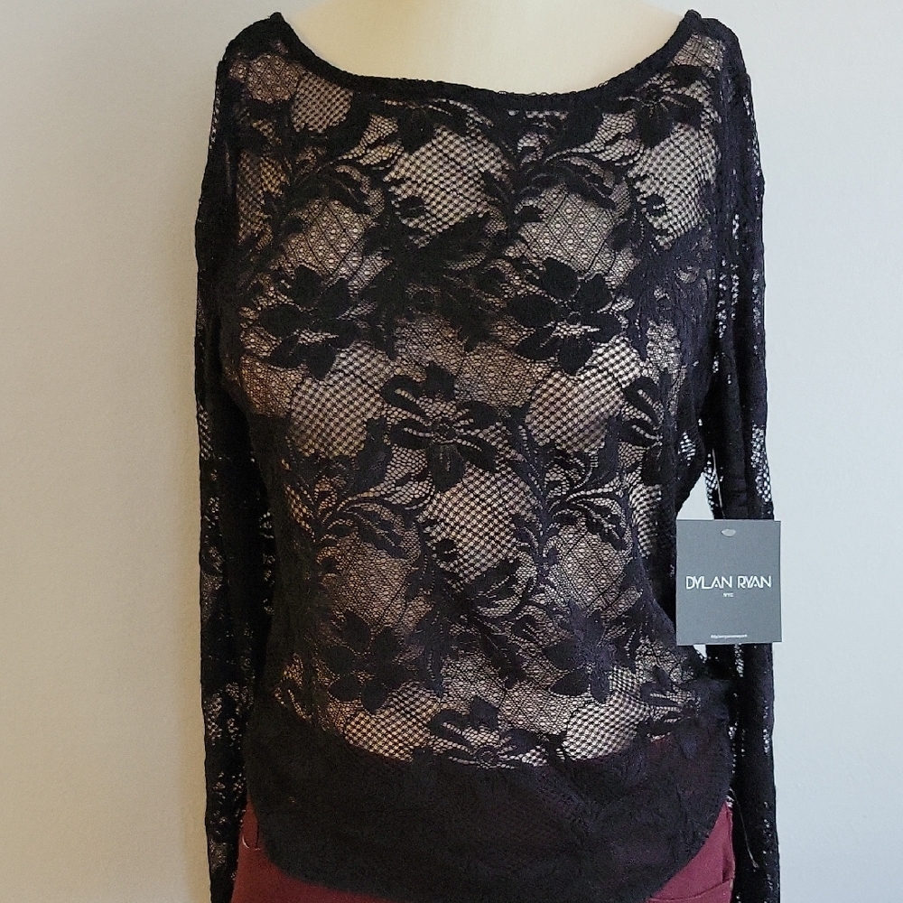 Dylan Kain Sheer Black Fitted Blouse